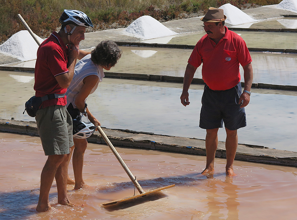 Salt harvesting experience